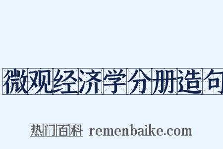 微观经济学分册造句是什么意思的图片